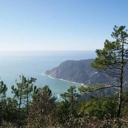 Trekking And Relax - Maremonti - Homy 5 Terre 아파트 베르나차